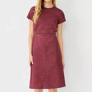 Ann Taylor Flare Dress in Cross Weave